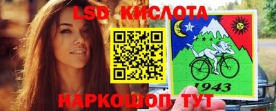 индика Аргун