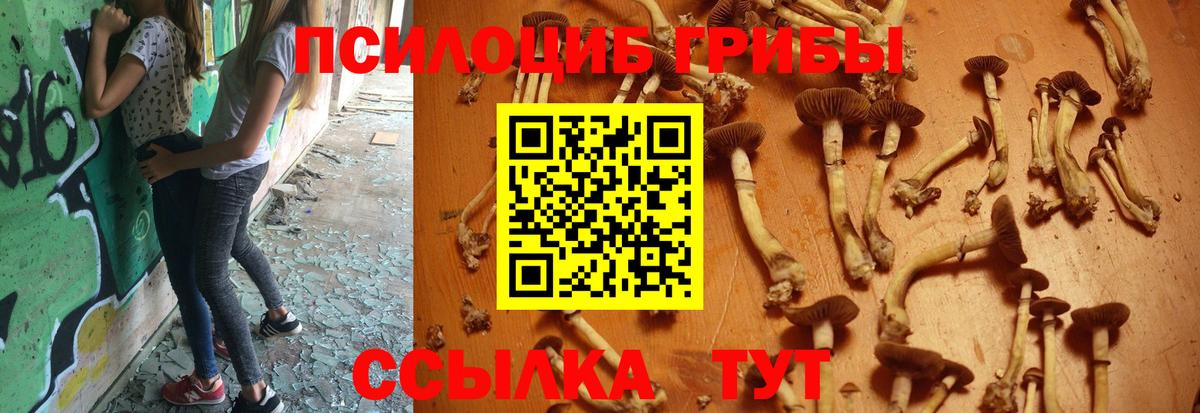 Псилоцибиновые грибы MAGIC MUSHROOMS Архангельск